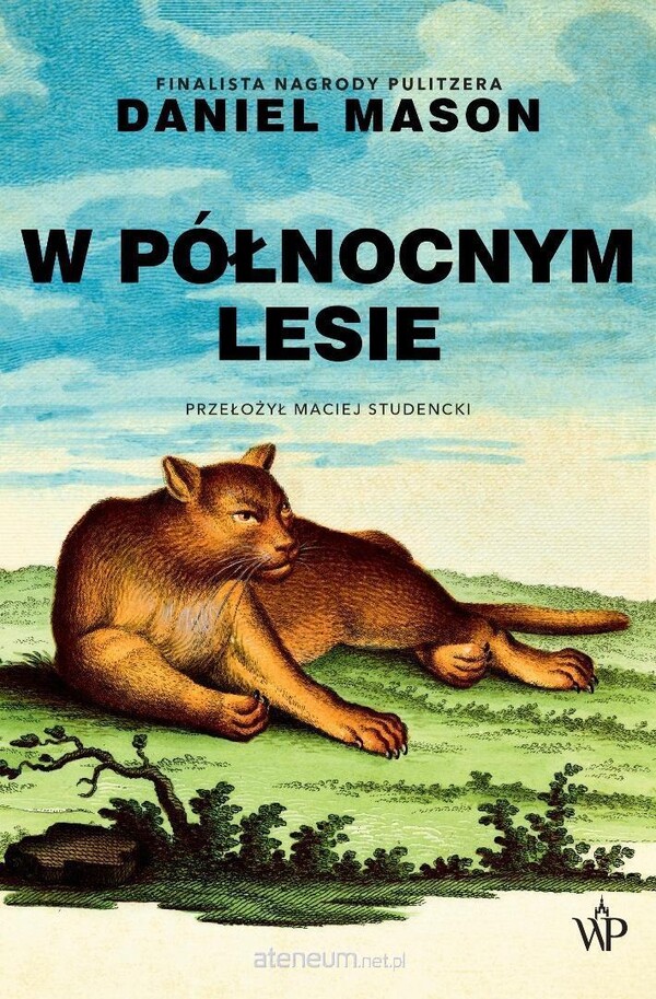 Daniel Mason  -  W północnym lesie